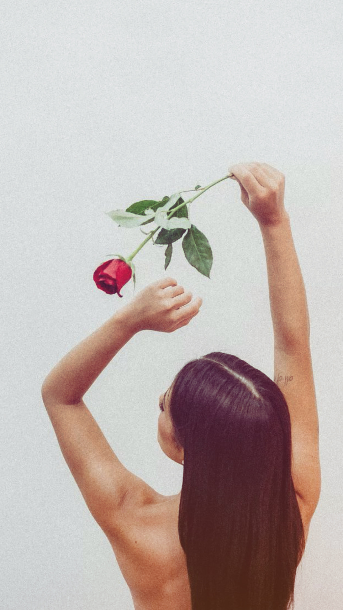 ¿A quién le conviene la franquicia de Jardin de Pasion?